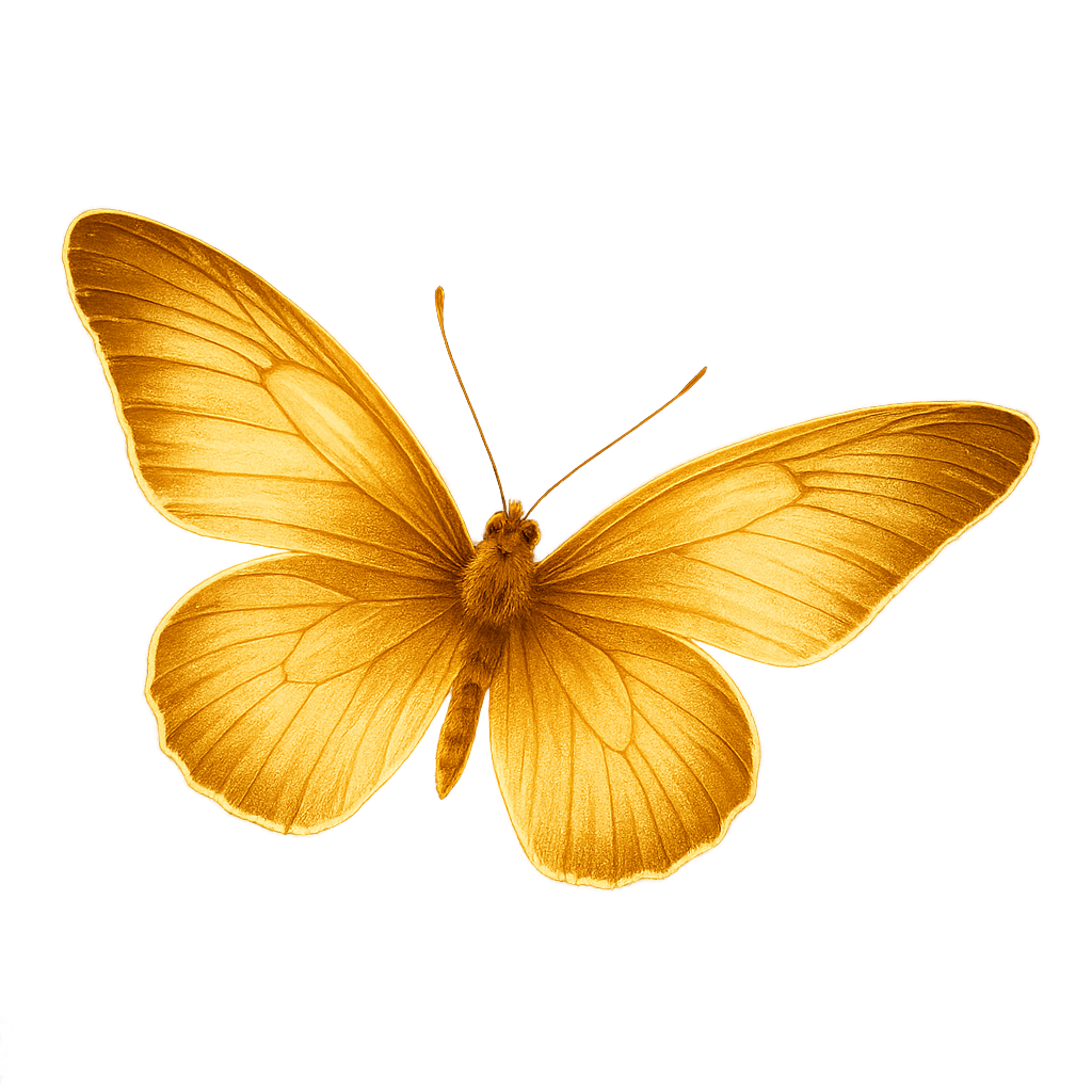 borboleta